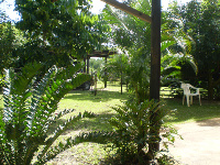 Marlin Garden